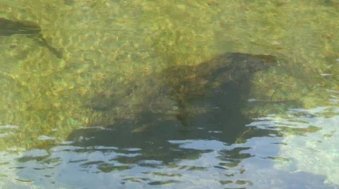 Mountain and river 6 Stock Footage 478919