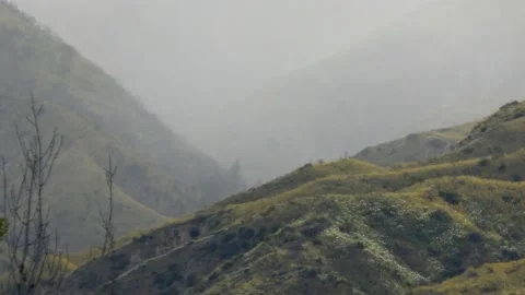 A mountain and tree Stock Footage 139009858