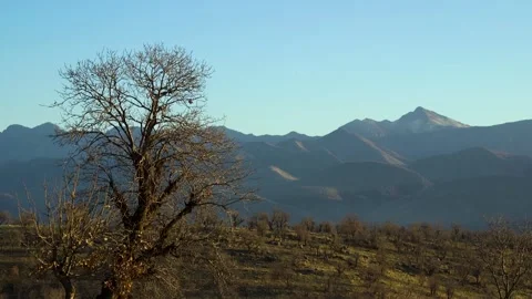 Mountain and Tree Vídeos de archivo 143363416