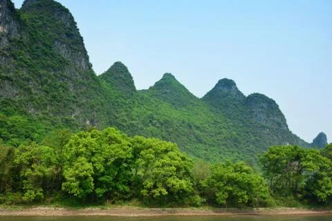 Mountain and trees located on the river shore Stock Photos