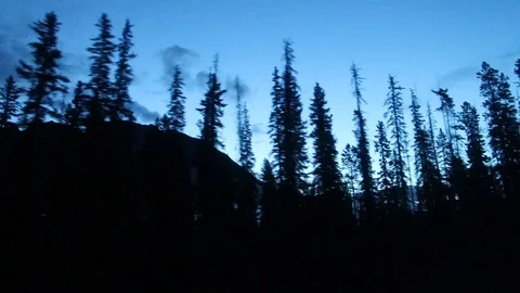 Mountain and Trees Silhouette Vidéo 115824412