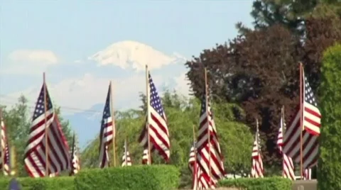 Mountain and US Flags Stock Footage 592643