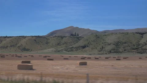 The mountain and wheat fields scroll by from a car, in New Zealand Stock Footage 218412030