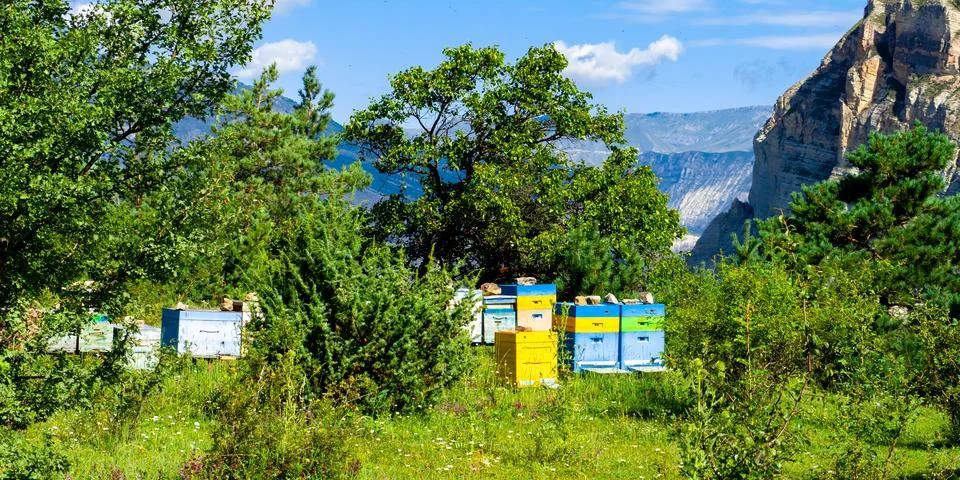 Mountain apiary Stock Photos