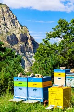 Mountain apiary Stock Photos