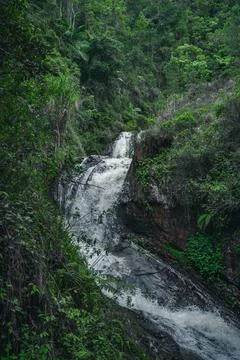 Mountain aqua cascade waterfall inside of wild tropical timberland Stock-Fotos