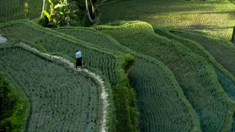 Mountain area farming field Stock-Footage 273698619