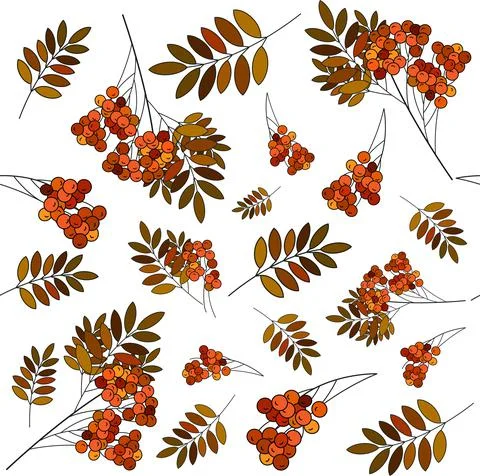 Mountain ash autumn colors pattern vector Stock Illustration