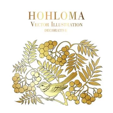 Mountain ash. Stock Illustration