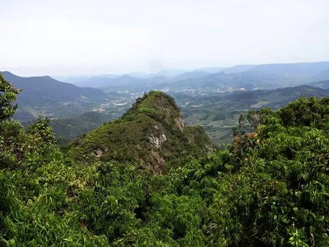 Mountain in the Atlantic Forest Stock-Fotos