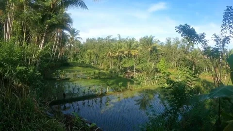 Mountain atmosphere Stock Footage 244068928