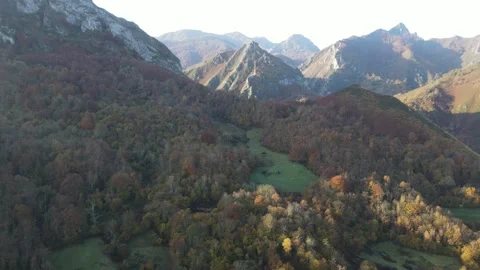 Mountain Autumn Video stock 222817113