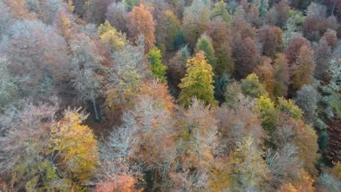 Mountain Autumn Video stock 222817205