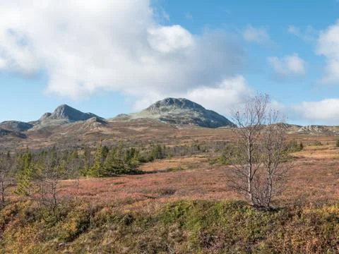 Mountain autumn view Stock Photos