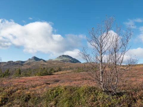 Mountain autumn view Foto stock