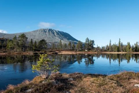 Mountain autumn view Stock Photos