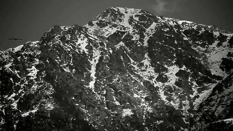 Mountain b-w with eagle Video stock 102782638