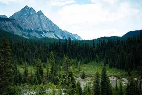 Mountain backdrop frames a lush forest, capturing nature's beauty and serenit Stock Photos