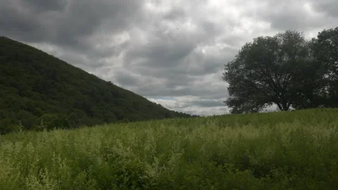 Mountain background Stock Footage 317849556