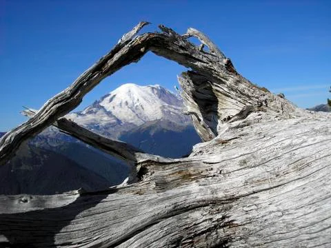 Mountain in background Stock Photos