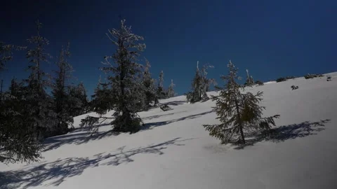 Mountain Background. Snow-Covered Mountain Landscape With Fir Trees And Blue Sky Stock Footage 280135873