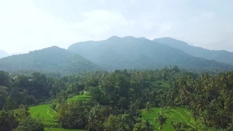 Mountain in Bali Video stock 208249651