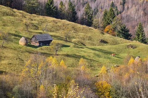 Mountain barn, haystack and a cow Stock Photos