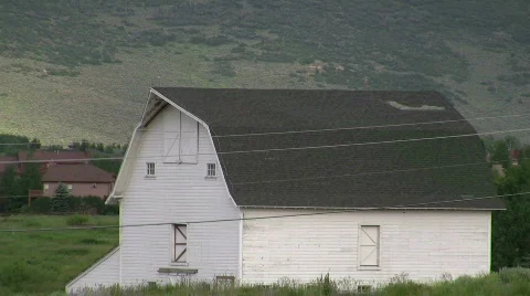 Mountain barn swallows CR Stock Footage 507006