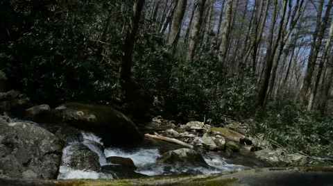 Mountain Beauty 스톡 동영상 671181