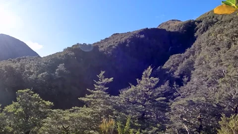 Mountain Beech Forest and Subalpine Vegetation in Arthurs Pass National Par.. Video stock 286766838