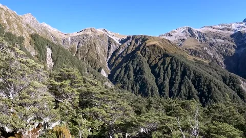 Mountain Beech Forest and Subalpine Vegetation in Arthurs Pass National Par.. Video stock 286766904