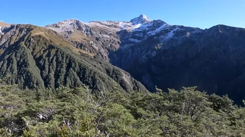 Mountain Beech Forest and Subalpine Vegetation in Arthurs Pass National Par.. Video stock 286767161