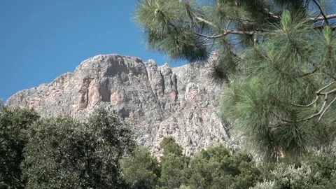 Mountain behind pine tree Stock Footage 128251892