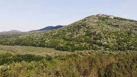 Mountain behind trees vertical aerial panorama Stock Footage 132662202