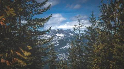 The mountain between trees Stock Photos