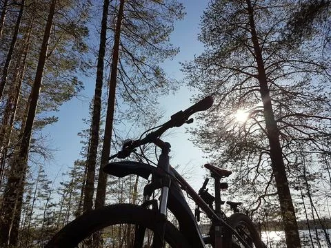 Mountain bicycle stay among a forest glade. Sunny spring or autumn day. Stock Photos