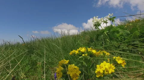 Mountain Big Thach Under Blue Sky With Clouds 스톡 동영상 67988619