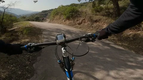 Mountain bike down a forest track following a biker partner Video stock 171640112