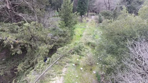 Mountain bike drone Stock Footage 134813629
