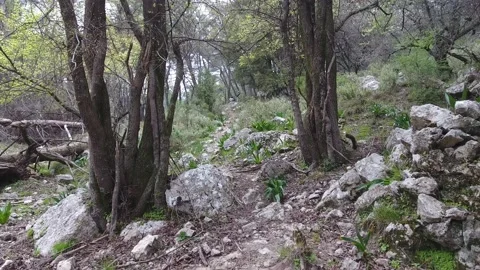 Mountain bike Stock Footage 135168775