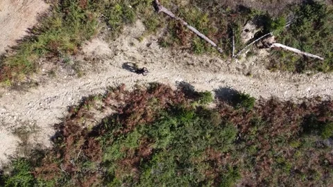 Mountain Bike 動画素材 140990535