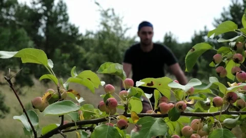 Mountain bike Stock Footage 247164731