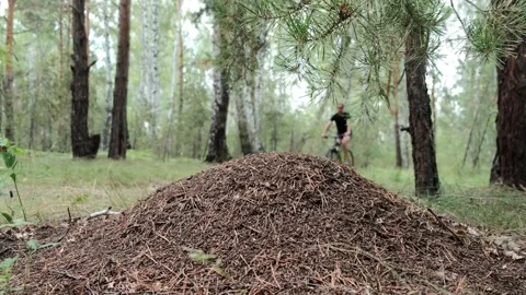 Mountain bike Stock Footage 247164789