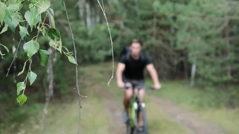 Mountain bike Stock Footage 247164858