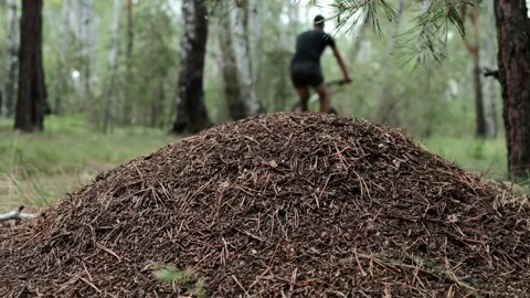 Mountain bike Stock Footage 248162285