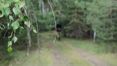 Mountain bike Stock Footage 248162351