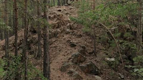 Mountain bike Video stock 248629481