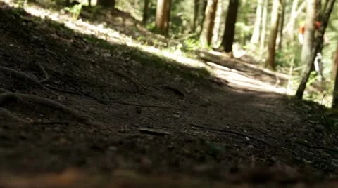Mountain bike in the forest Video stock 10912395