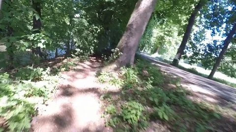 Mountain bike in the forest Video stock 75050363