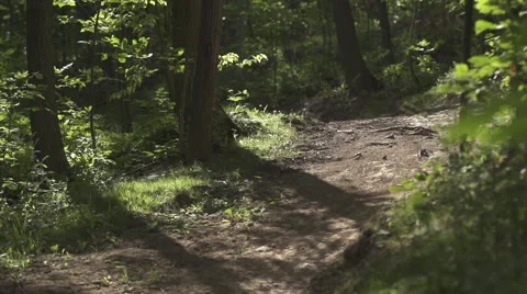 Mountain bike Freeride Vídeo Stock 55675589
